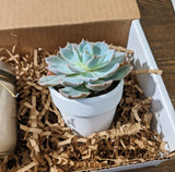 Personalized Memorial Gift Box with Candle and Succulent