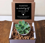 Memorial Gift Succulent with Personalized Message. Personalize text and colors. Includes white pot.