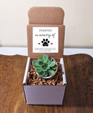 Pet Memorial Succulent with Personalized Message