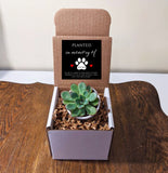 Loss of Dog Memorial Gift Succulent with Personalized Message